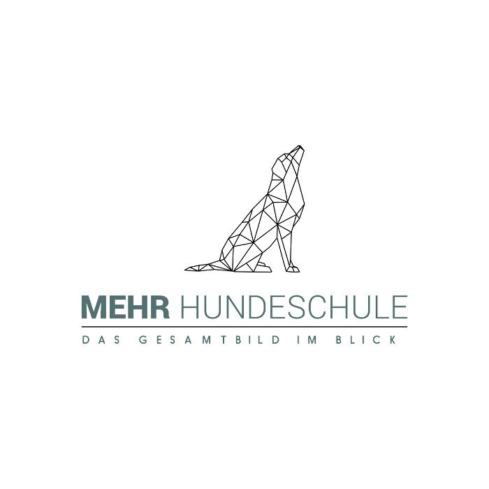 Bilder MEHR Hundeschule