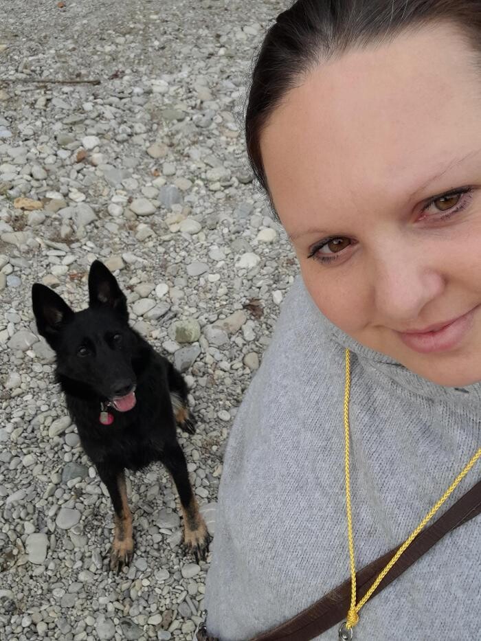 Bilder MEHR Hundeschule