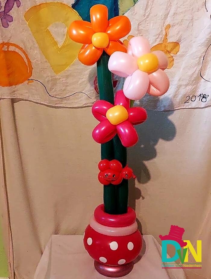 Bilder Ballonkünstler/in Danilein vom Niederrhein