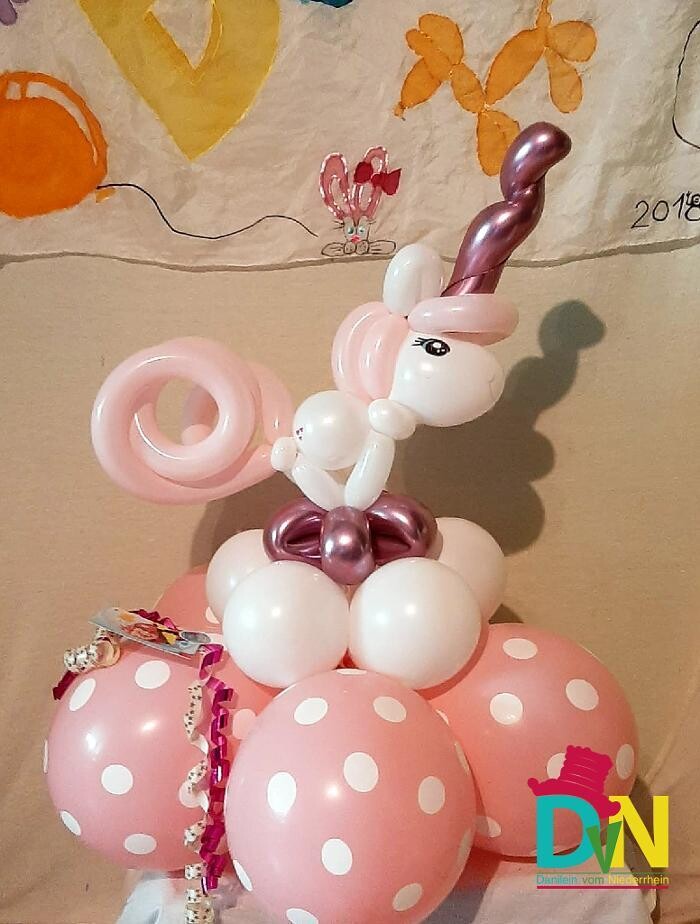 Bilder Ballonkünstler/in Danilein vom Niederrhein