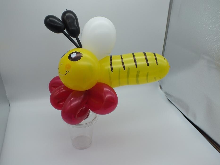 Bilder Ballonkünstler/in Danilein vom Niederrhein