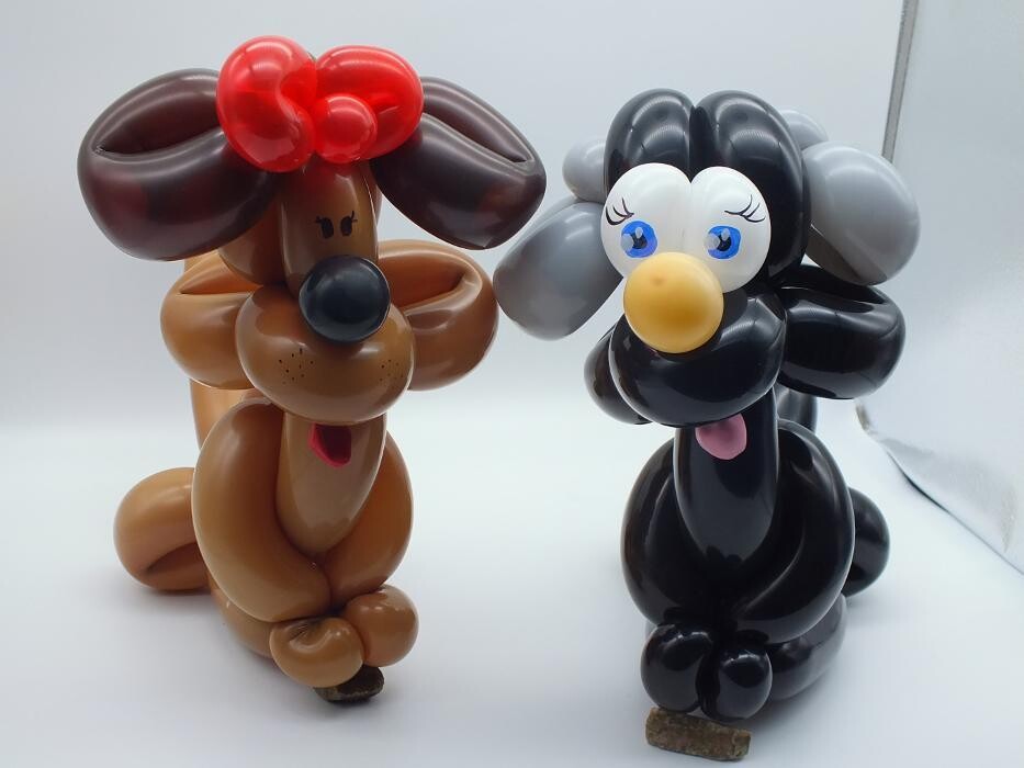 Bilder Ballonkünstler/in Danilein vom Niederrhein