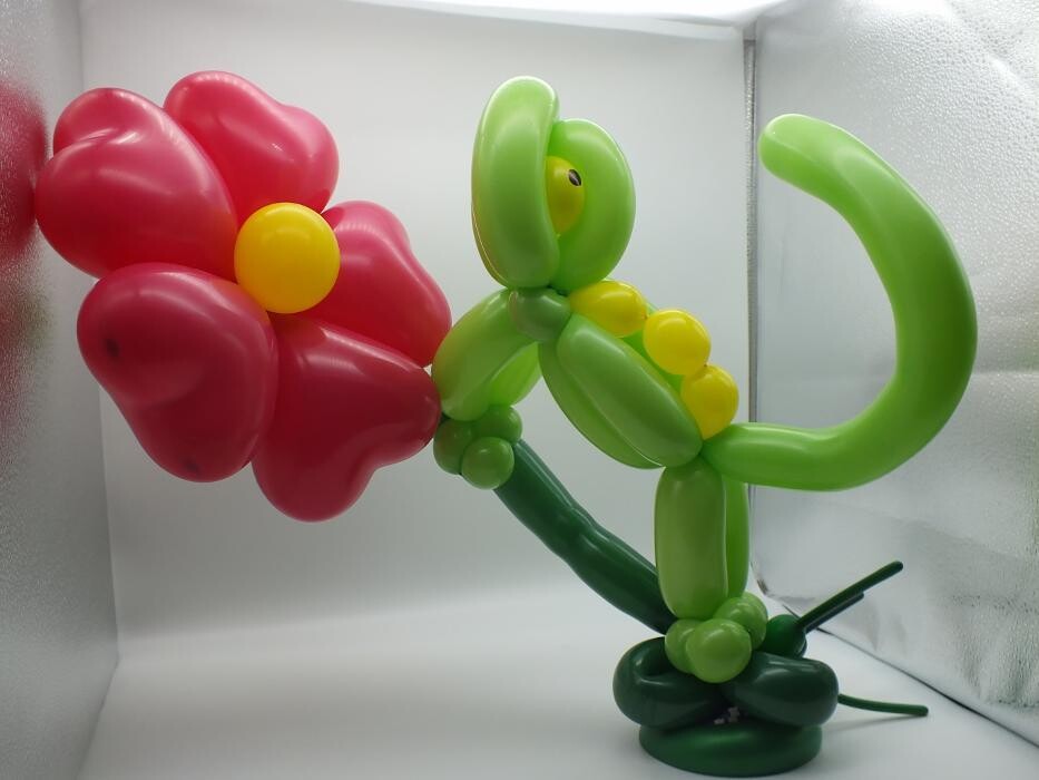 Bilder Ballonkünstler/in Danilein vom Niederrhein
