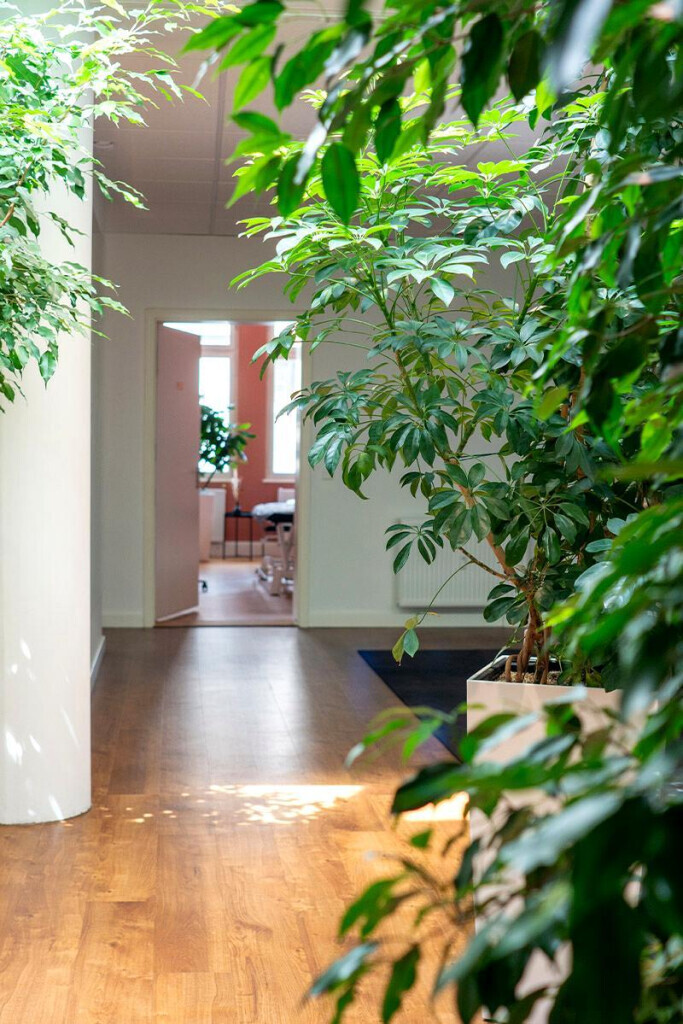 Bilder physioconcept | Praxis für moderne Physiotherapie Nürnberg