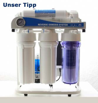 Bilder GrünePerlen GmbH