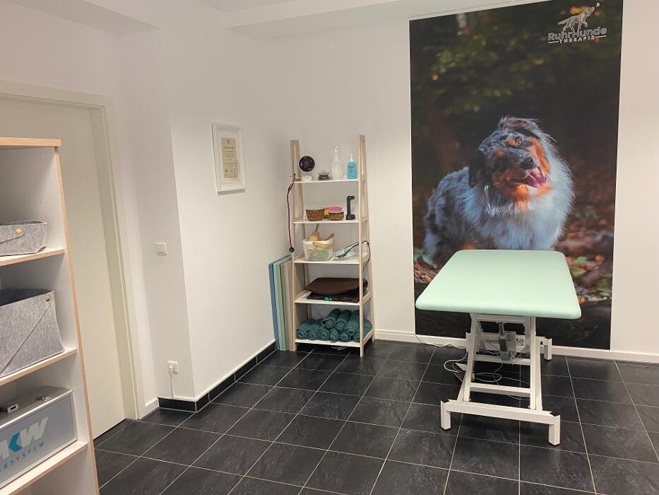 Bilder RuhrHundeTherapie