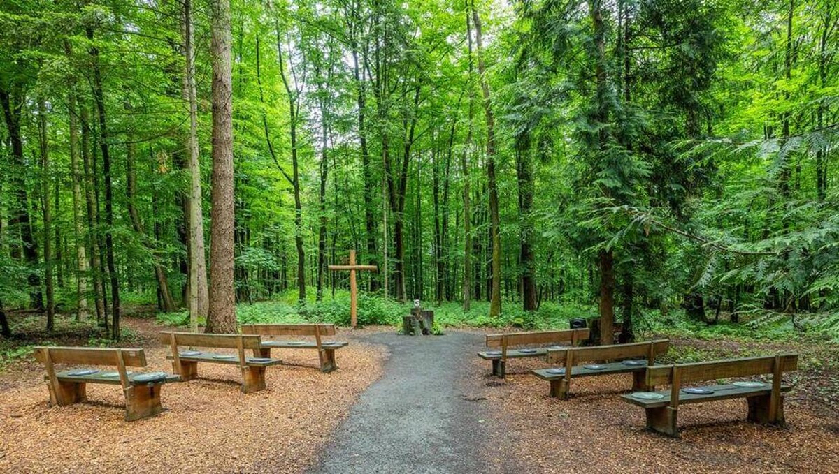 Bilder FriedWald Neuwied-Monrepos