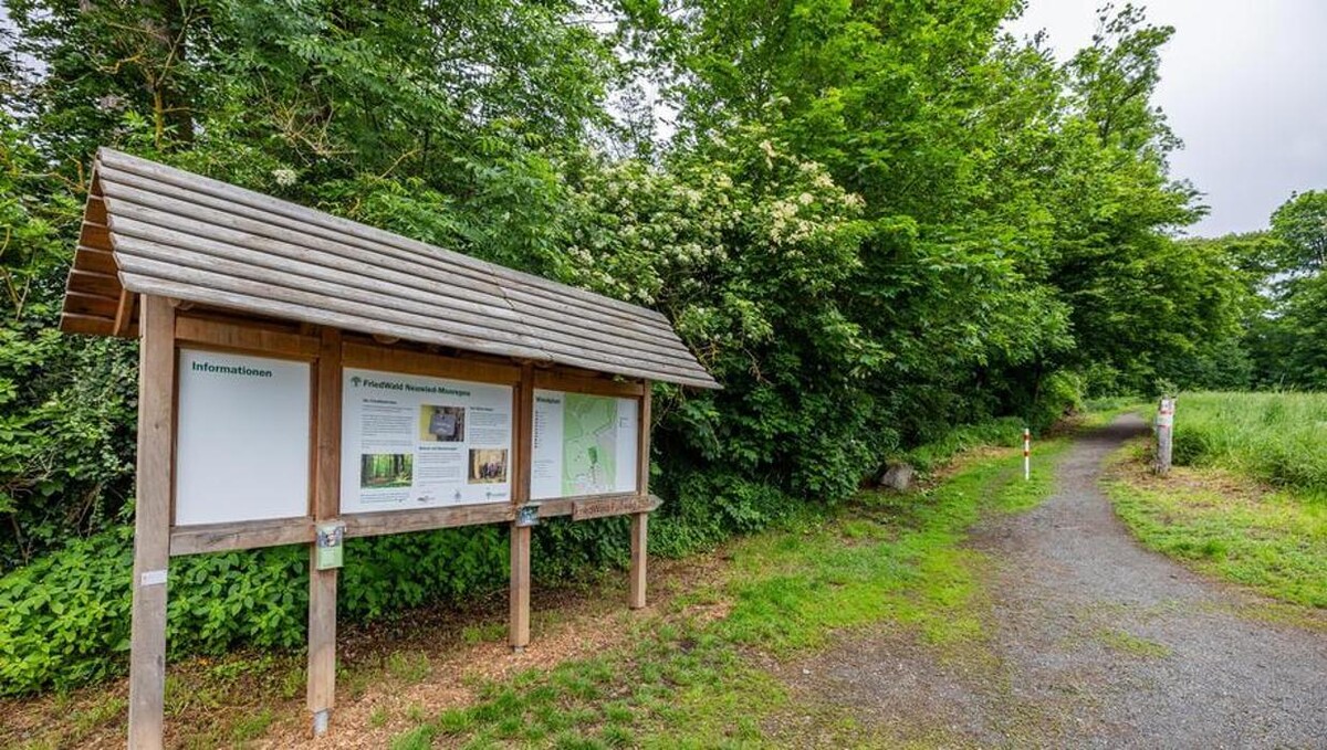 Bilder FriedWald Neuwied-Monrepos
