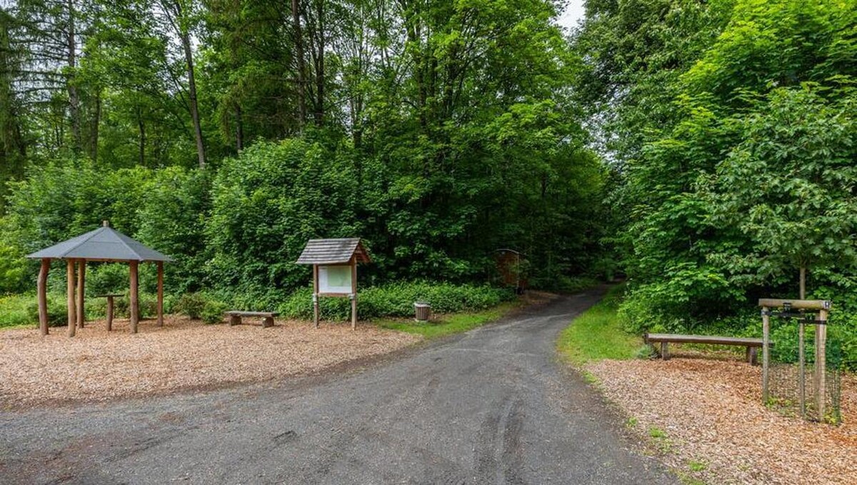 Bilder FriedWald Neuwied-Monrepos