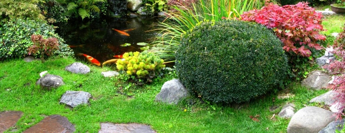 Bilder RGB Rothenseer Garten- und Landschaftsbau GmbH