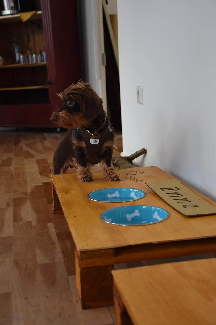Bilder CD Veredlung