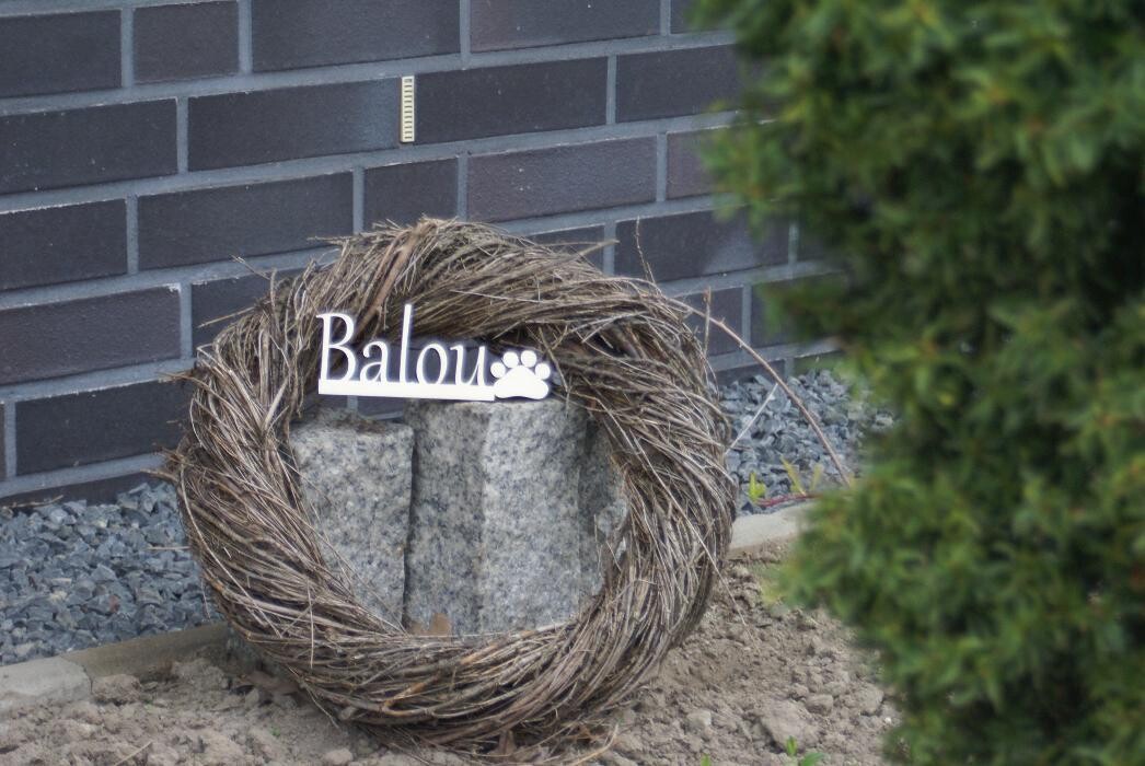 Bilder CD Veredlung