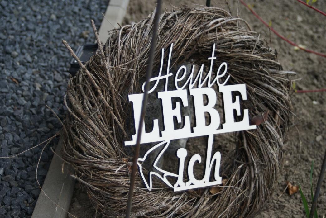 Bilder CD Veredlung