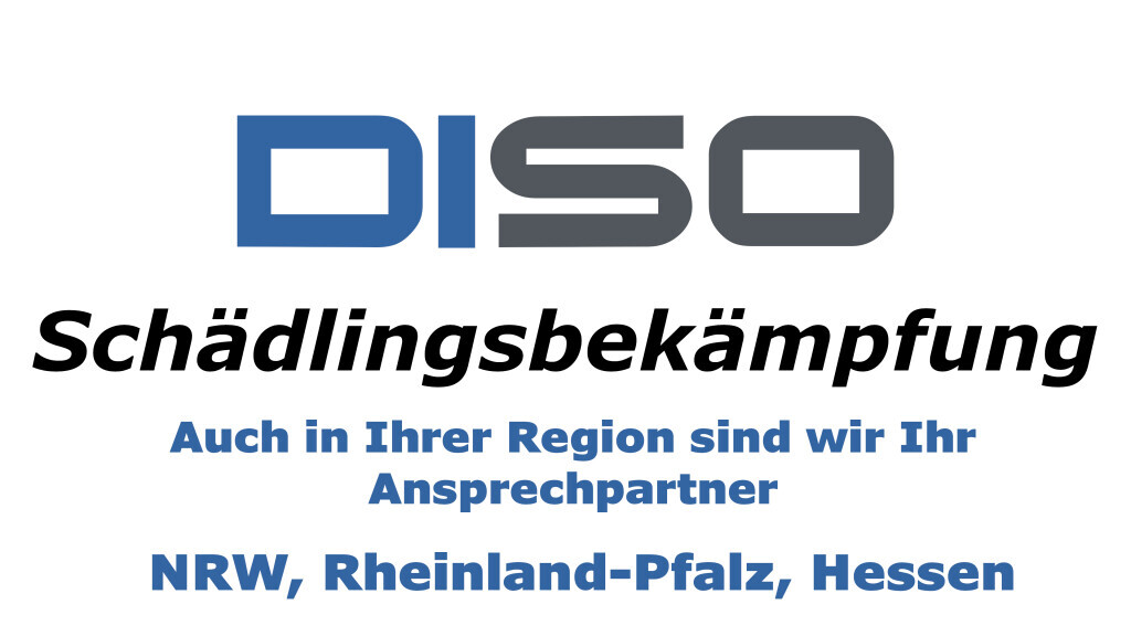 Bilder DISO Schädlingsbekämpfung