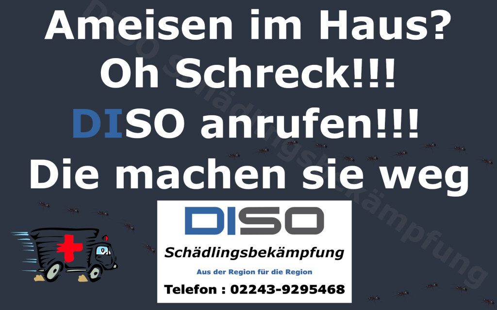 Bilder DISO Schädlingsbekämpfung
