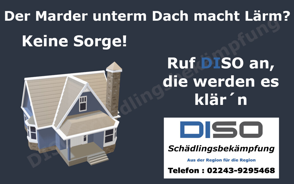 Bilder DISO Schädlingsbekämpfung