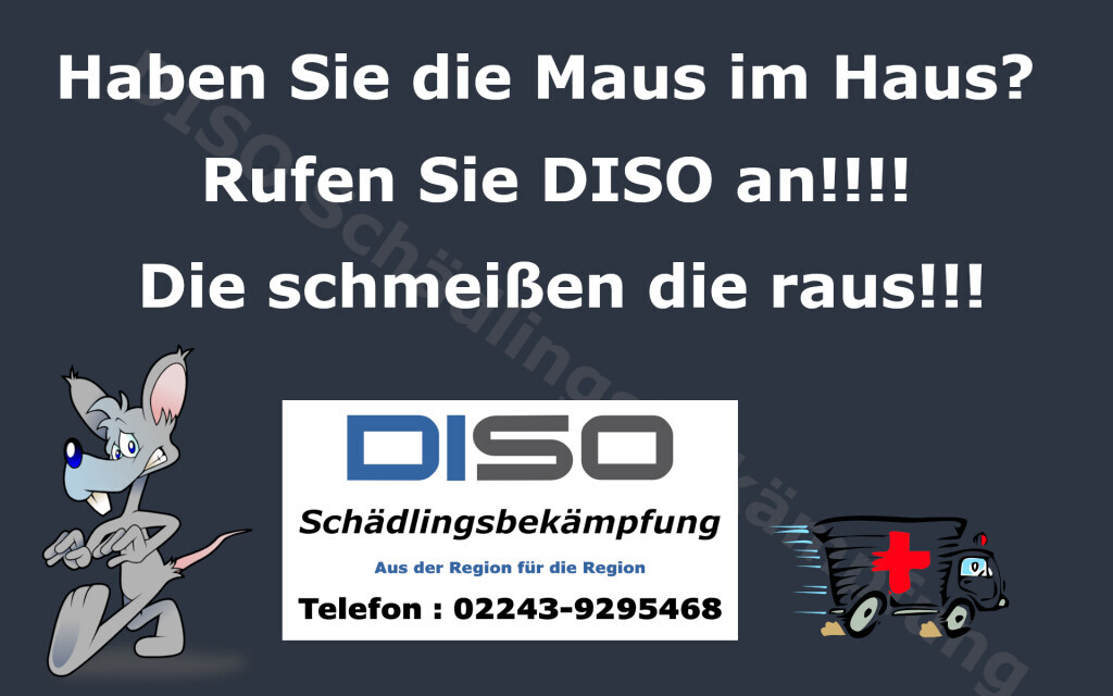 Bilder DISO Schädlingsbekämpfung