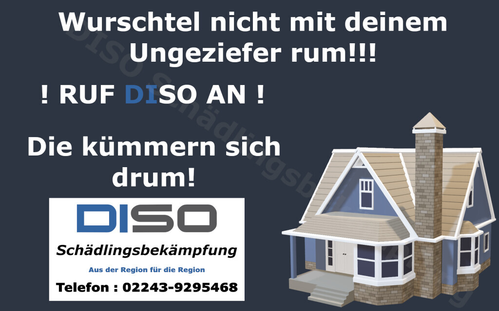 Bilder DISO Schädlingsbekämpfung