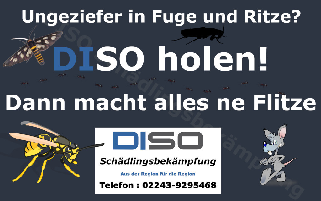 Bilder DISO Schädlingsbekämpfung