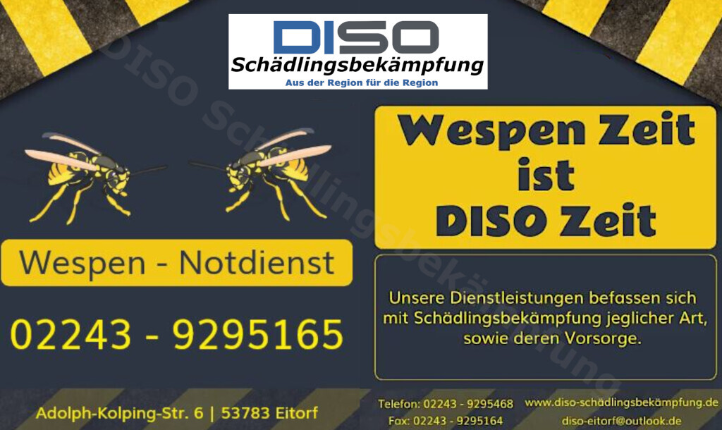 Bilder DISO Schädlingsbekämpfung