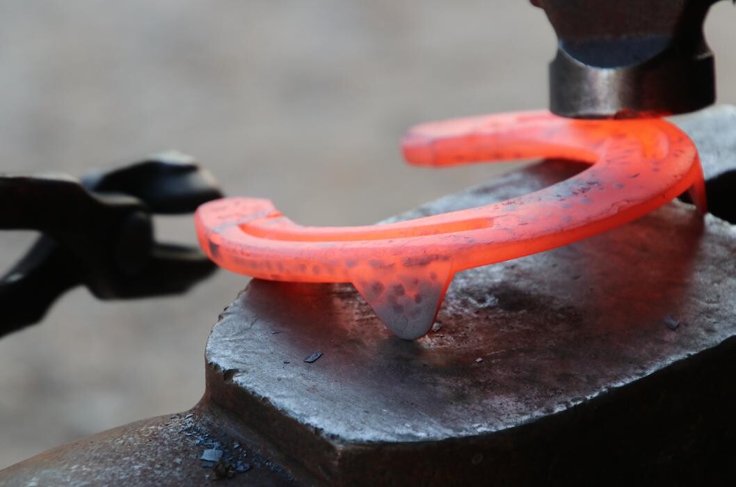 Bilder Hufbeschlag Theo Röger