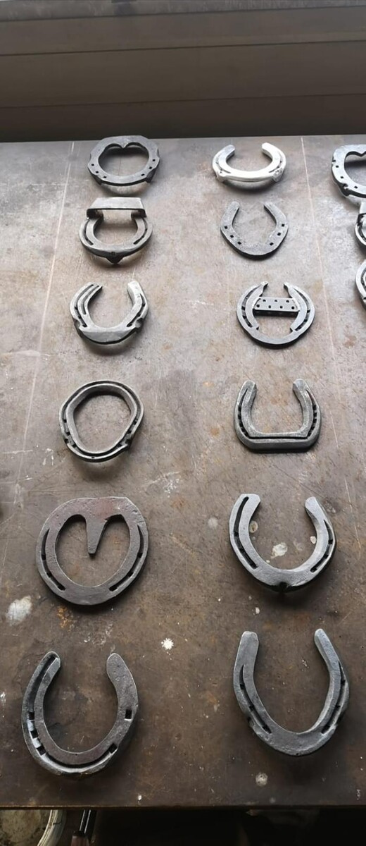 Bilder Hufbeschlag Theo Röger