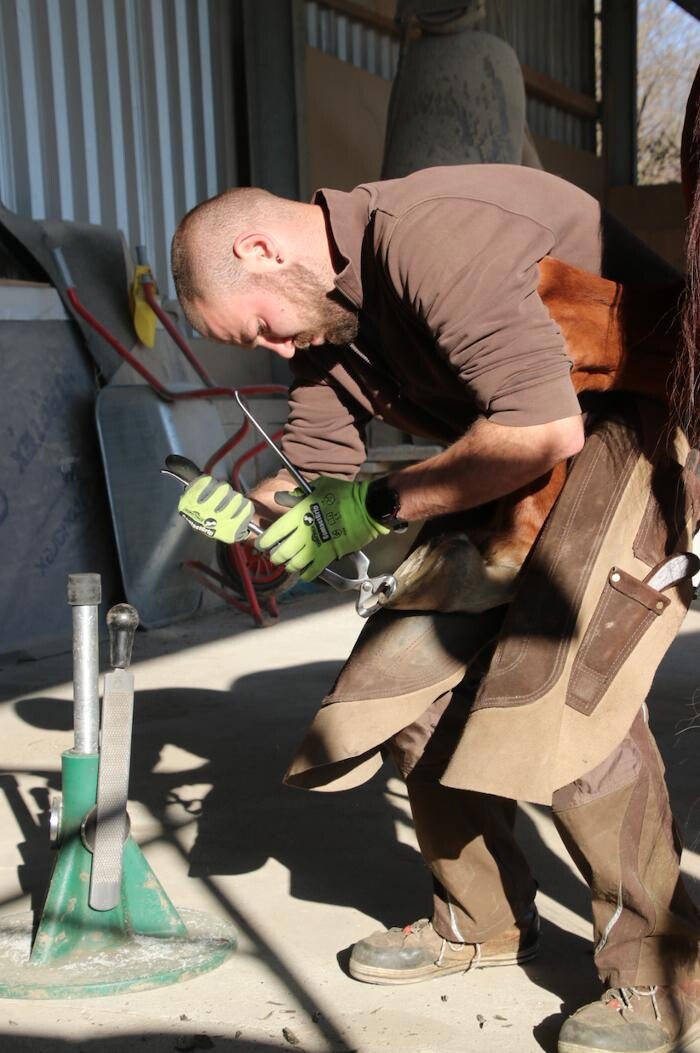 Bilder Hufbeschlag Theo Röger