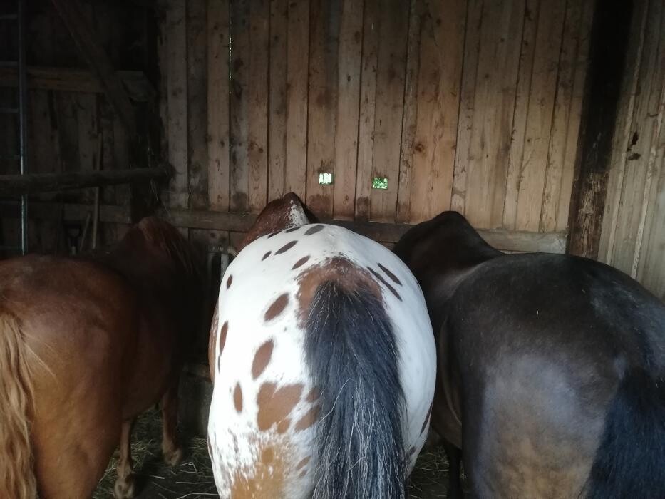 Bilder Huforthopädie Andechs