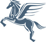 Flying-Express Logo