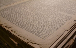 Bilder Lektorat - Korrektorat - Texterstellung: Klaus-Stefan Deubel, Diplom-Soziologe