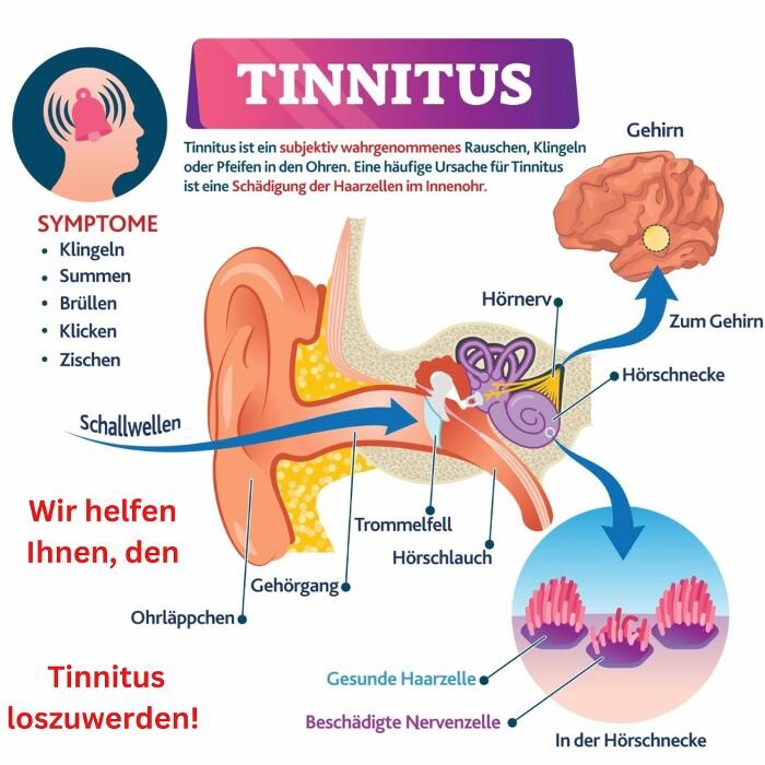 Bilder Hörakustik Senft