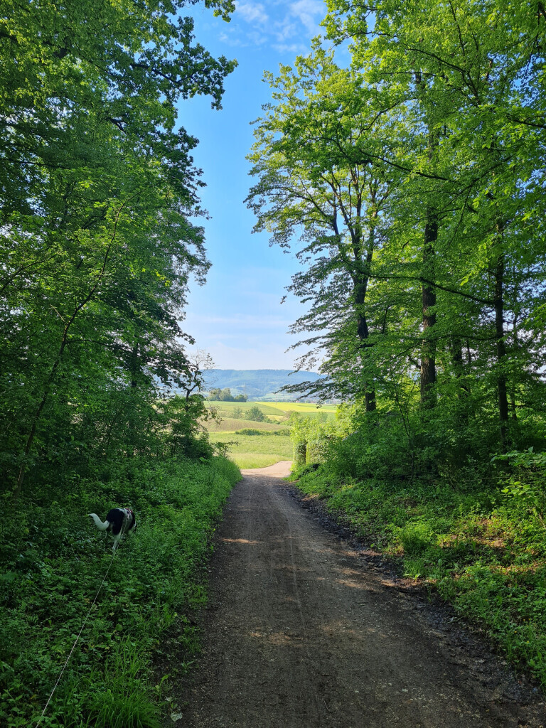 Bilder Barfuß wandern mit Jürgen