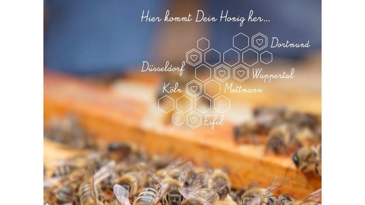 Bilder HoodyBee - Dein Lieblingshonig aus der Nachbarschaft