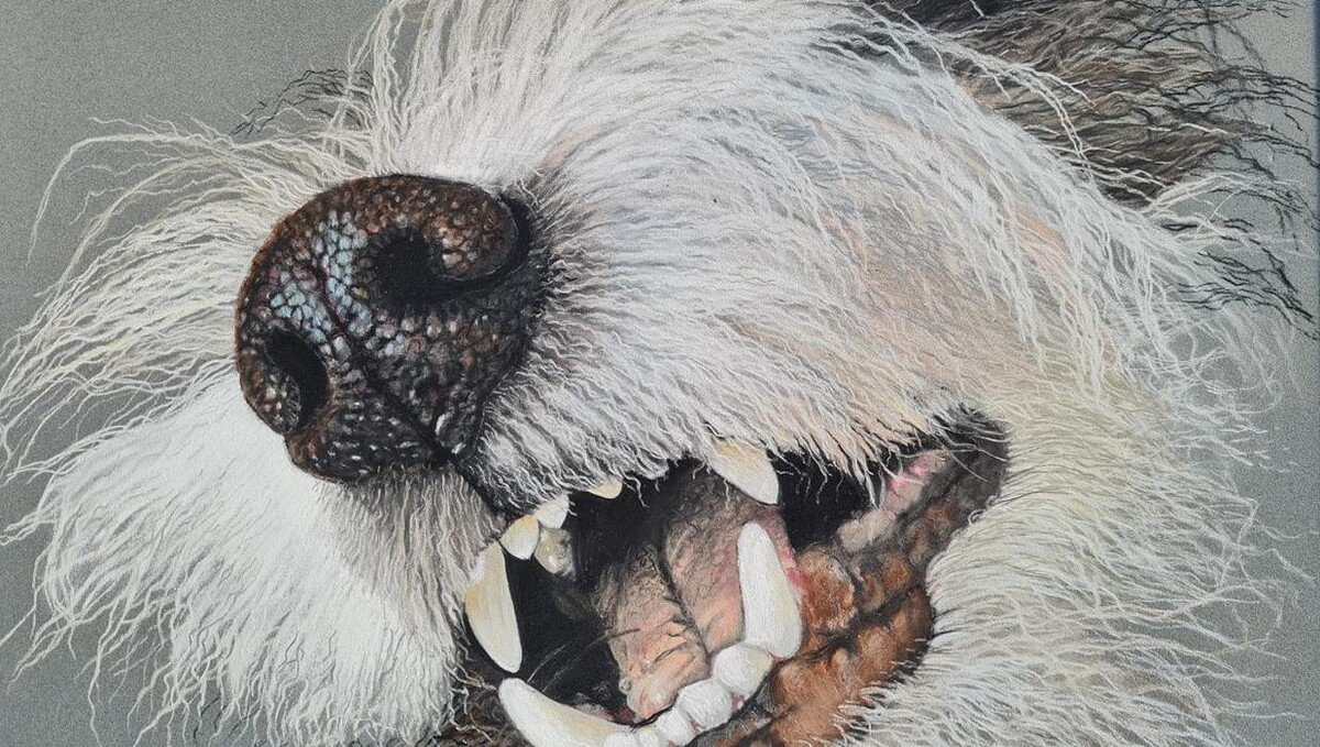 Bilder Soul-Dogs Petra Tenge