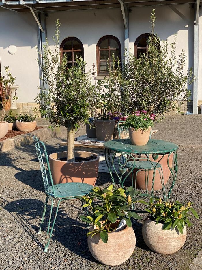 Bilder Gärtnerei Schöbel