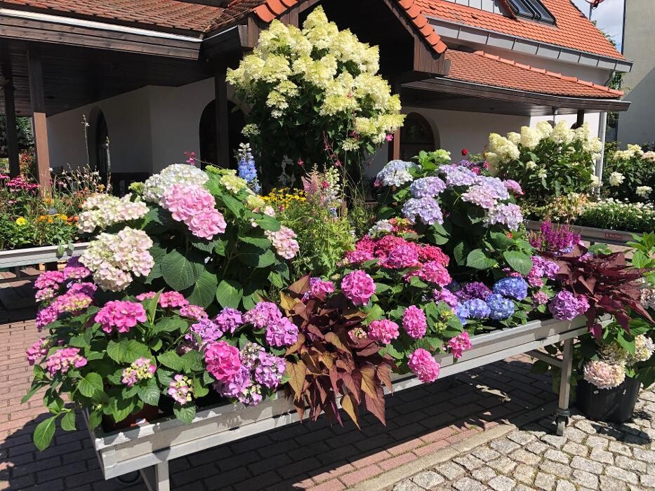 Bilder Gärtnerei Schöbel
