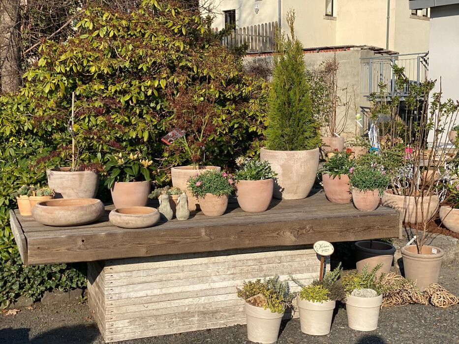 Bilder Gärtnerei Schöbel