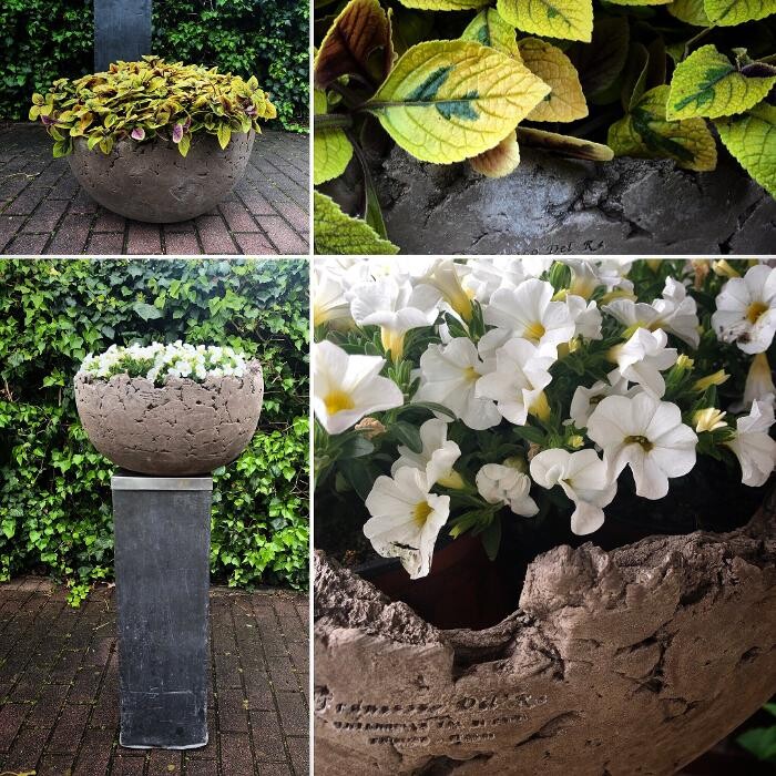 Bilder Gärtnerei Schöbel
