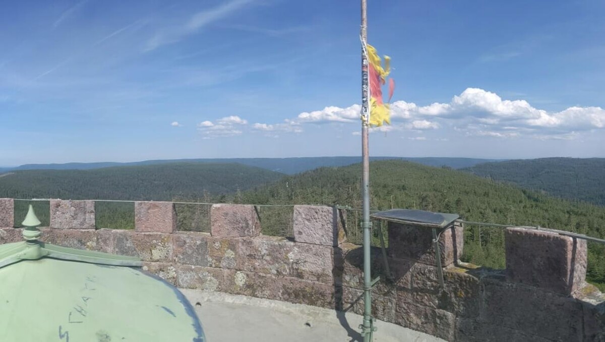 Bilder FriedWald Badener Höhe