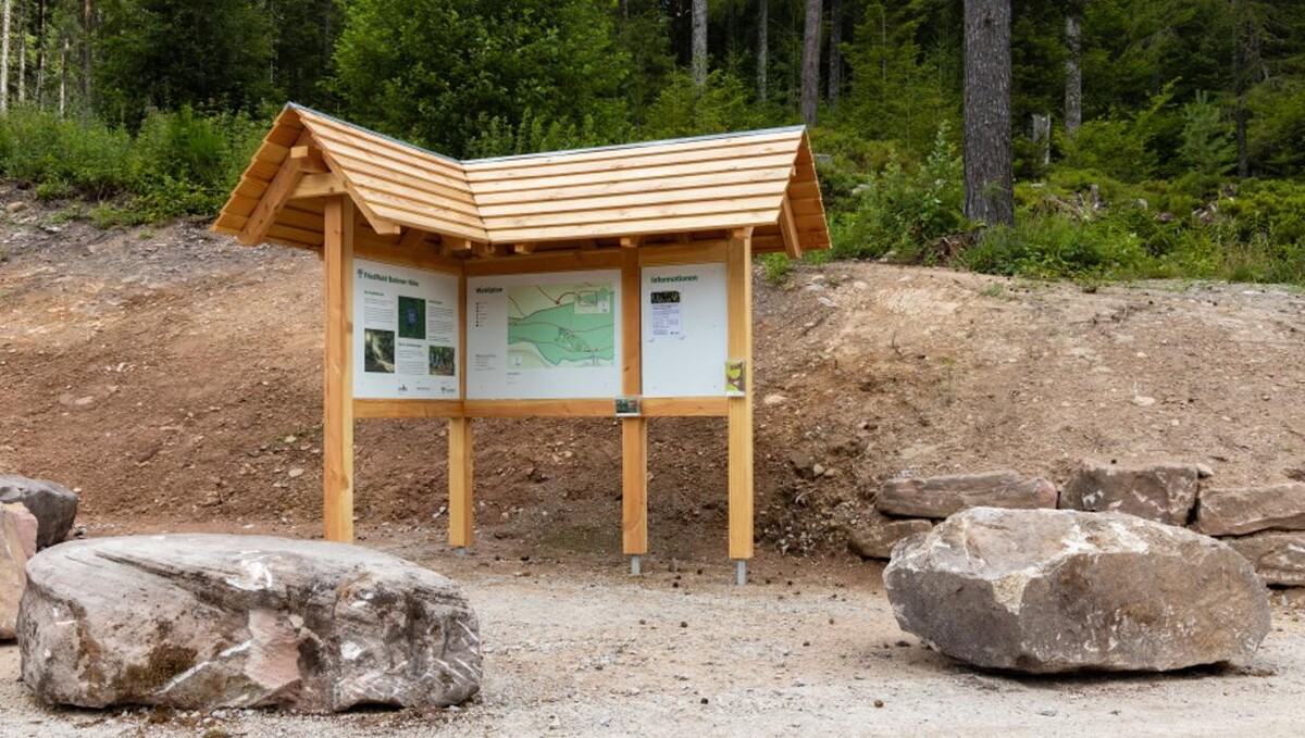 Bilder FriedWald Badener Höhe