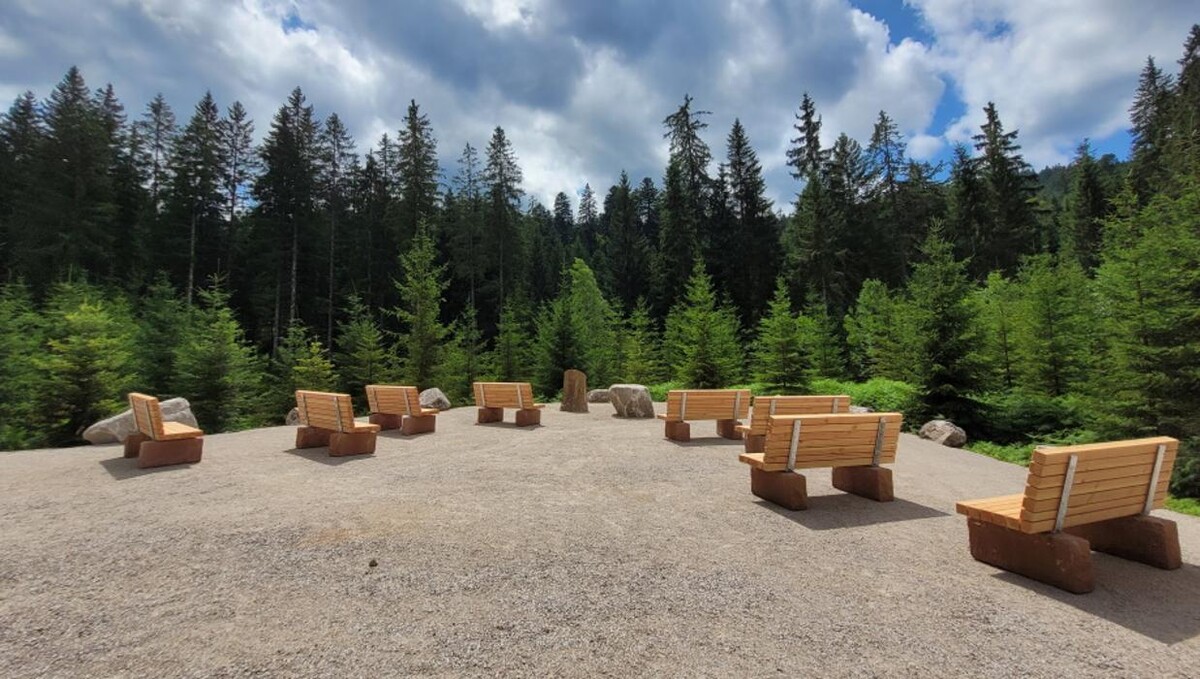 Bilder FriedWald Badener Höhe