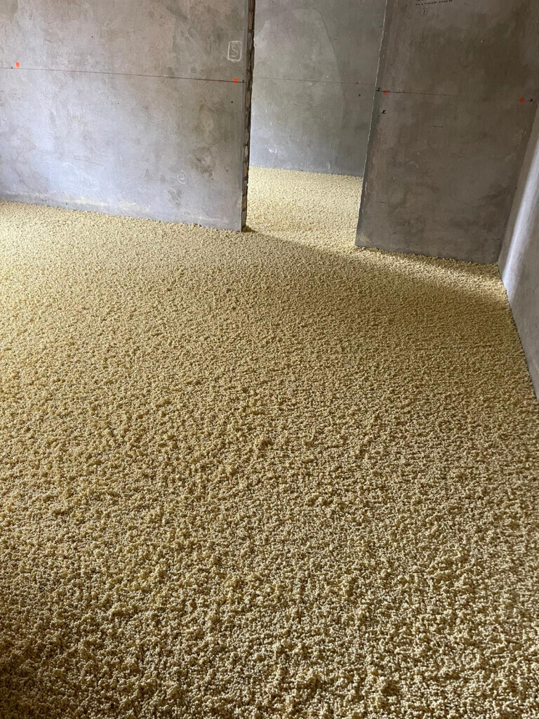 Bilder Expert Bau GmbH