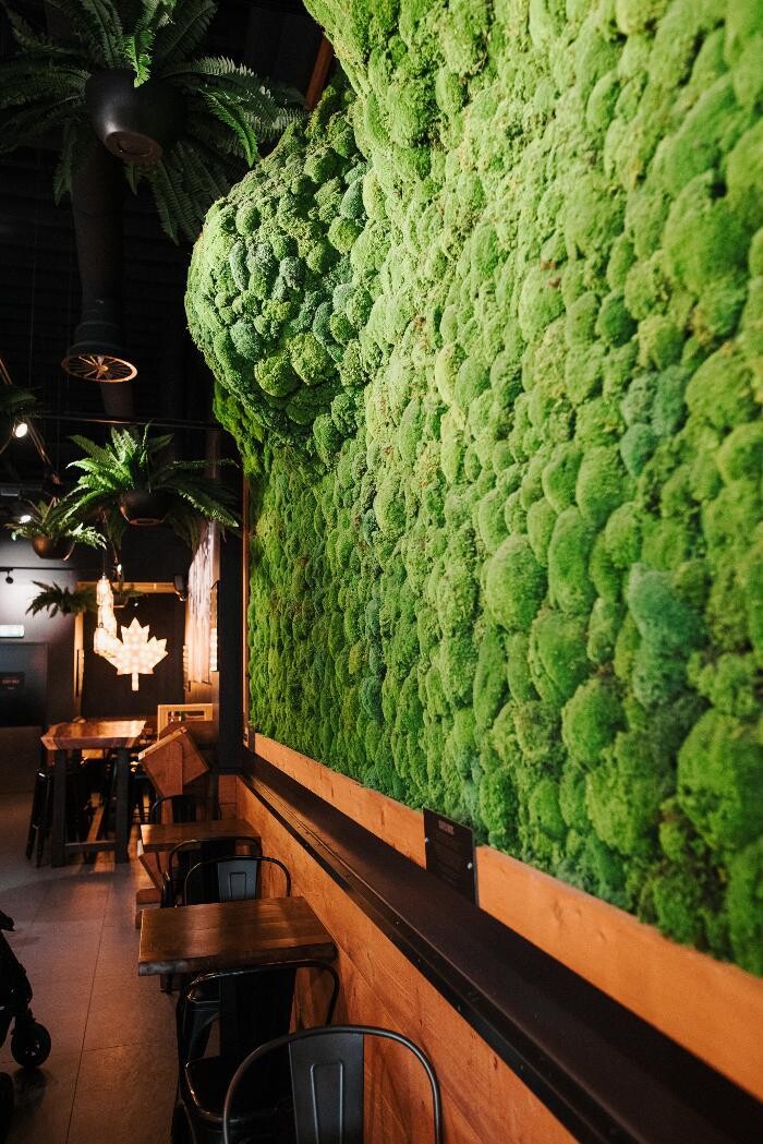 Bilder Frittenwerk Wolfsburg