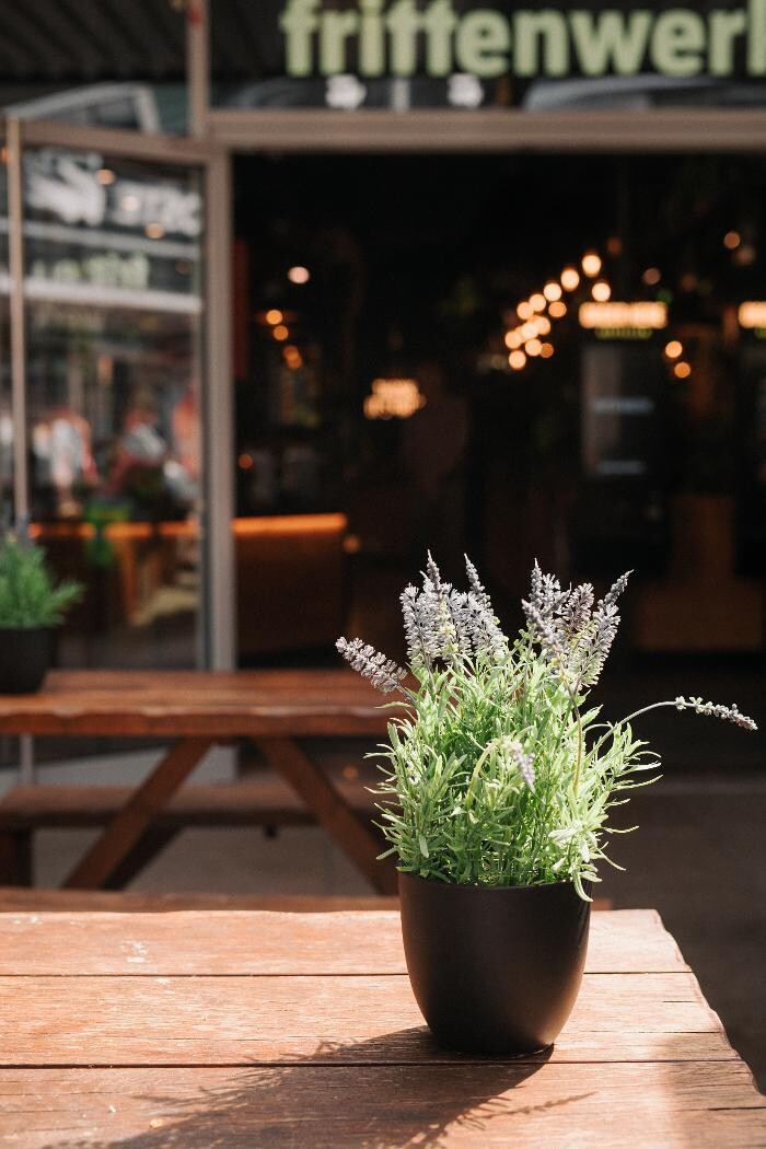 Bilder Frittenwerk Wolfsburg