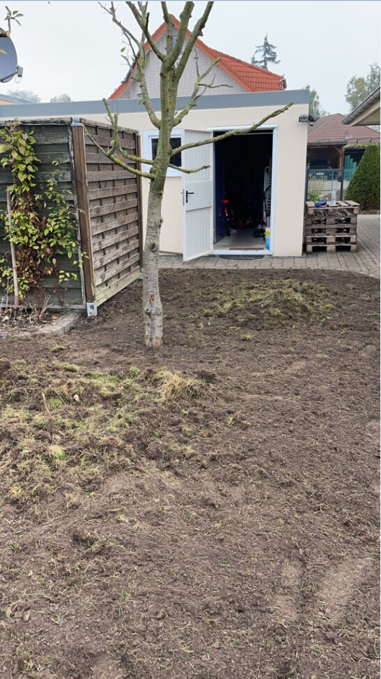 Bilder B.T. Gartenbau