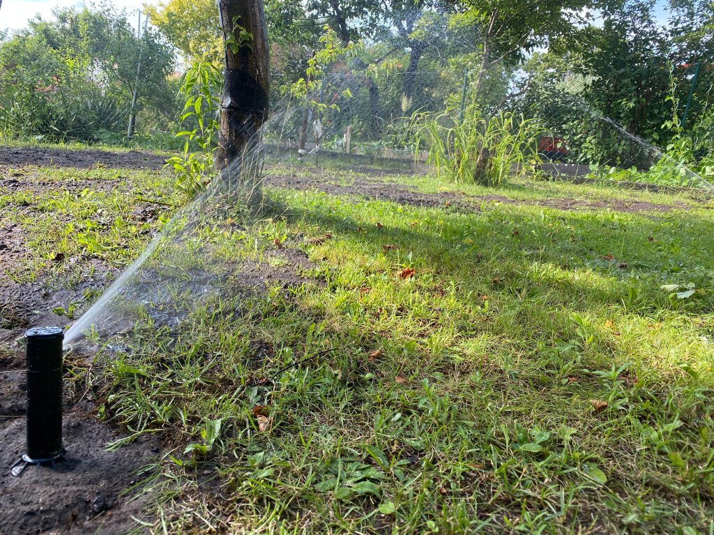 Bilder B.T. Gartenbau