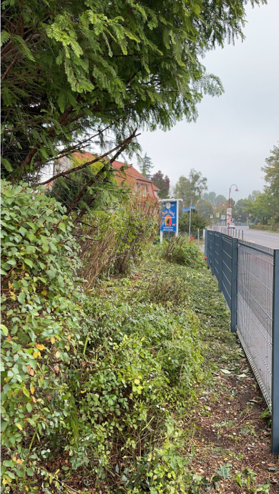 Bilder B.T. Gartenbau