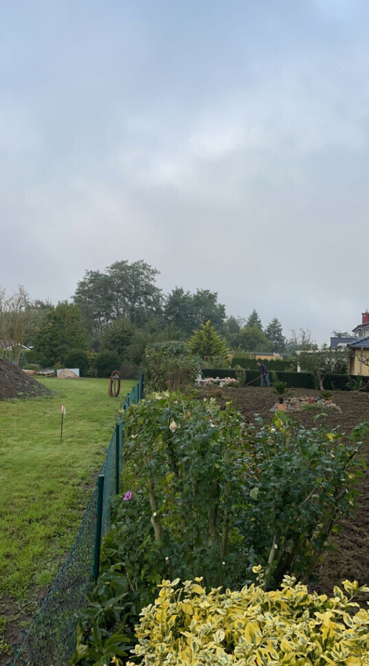 Bilder B.T. Gartenbau