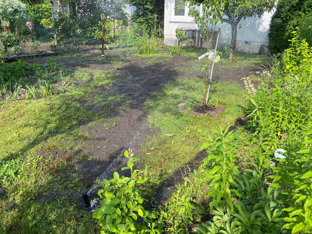 Bilder B.T. Gartenbau