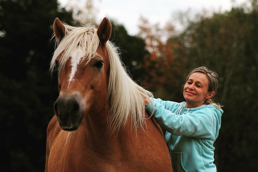 Bilder Mobile Tierheilpraxis und Tierphysiotherapie Kerstin Junge